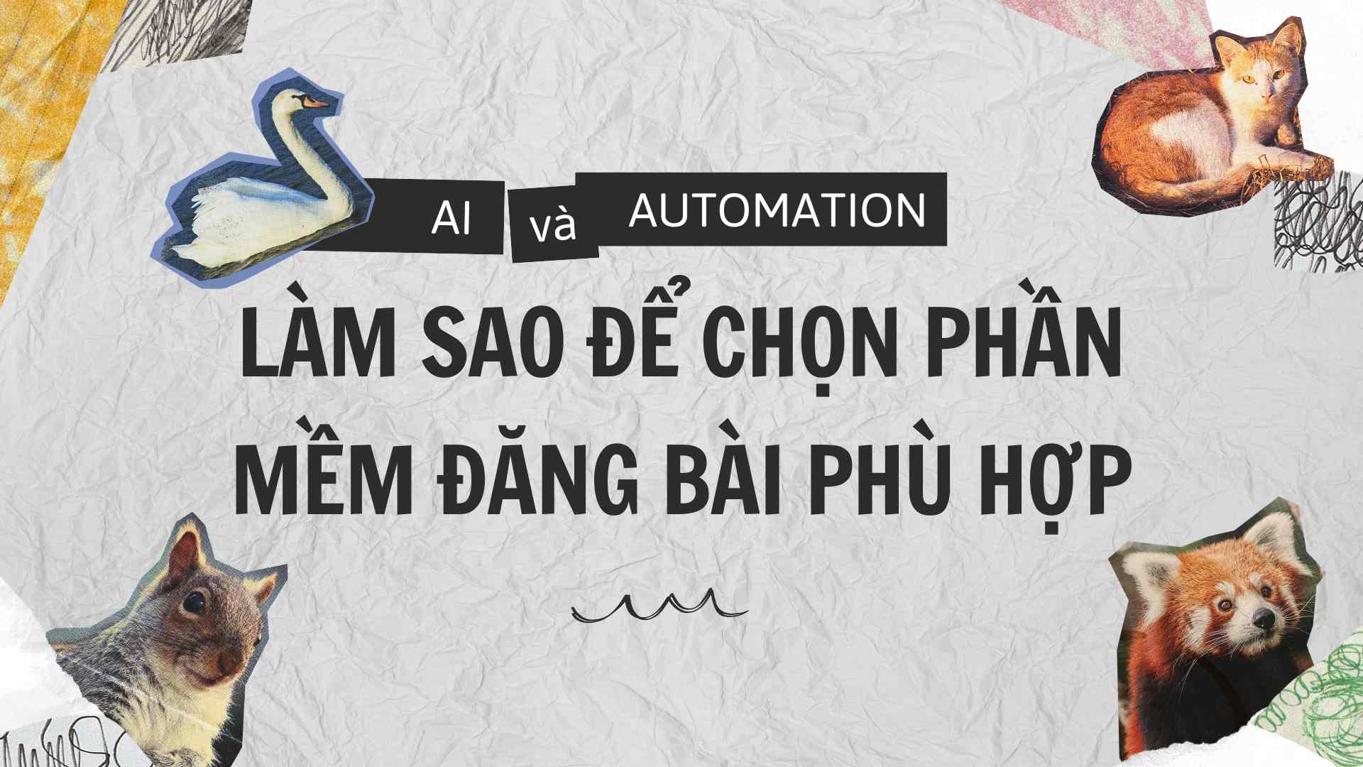 Chọn phần mềm viết và đăng bài tự động hợp với nhu cầu 