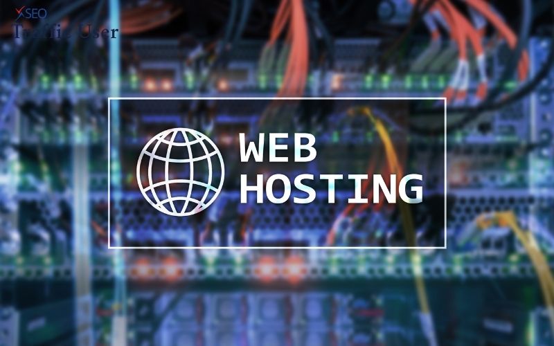 Traffic User Thật Từ XSEO Và Giá Traffic User Trên Thị Trường